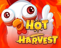 Hot Harvest